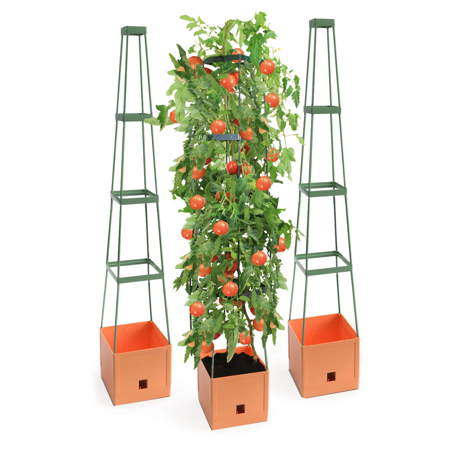 Vorschaubild 1