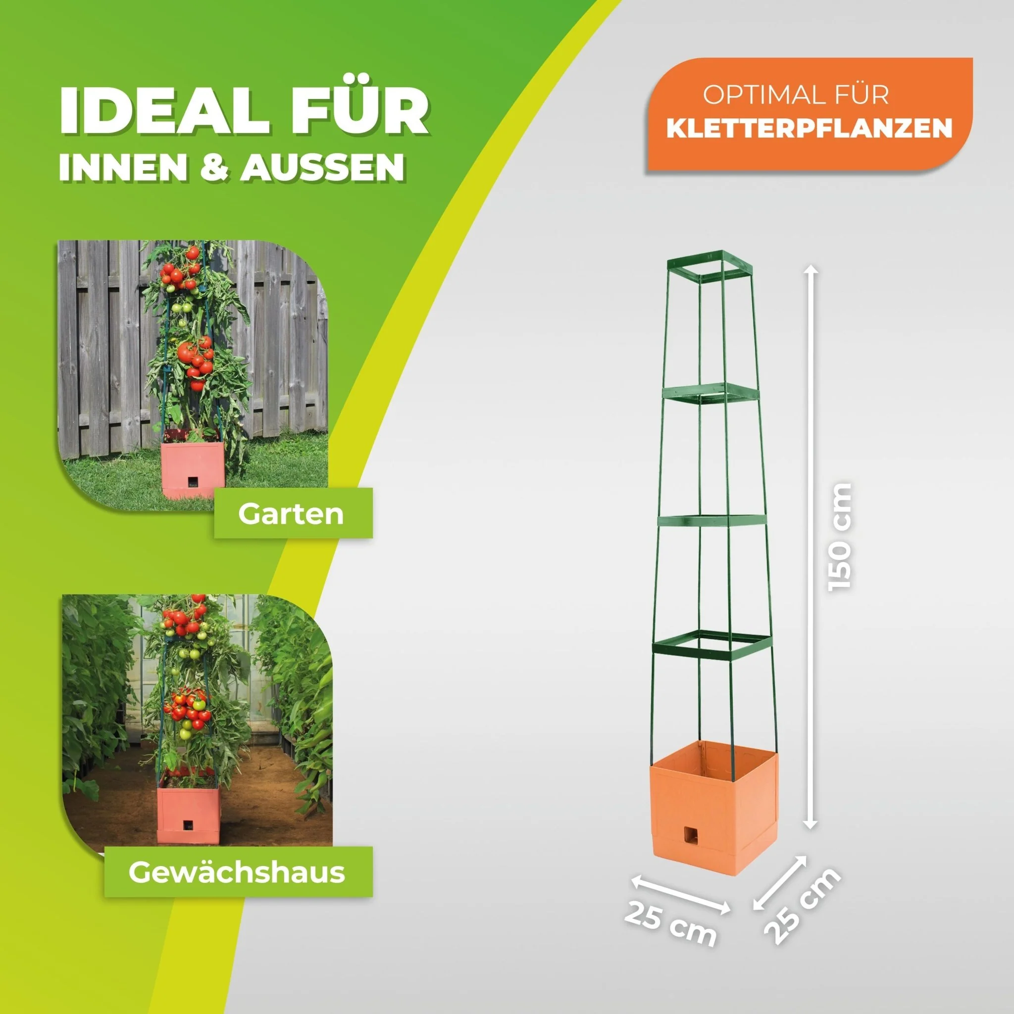 Vorschaubild 5