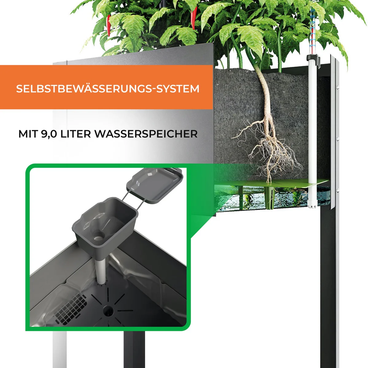 Vorschaubild 3