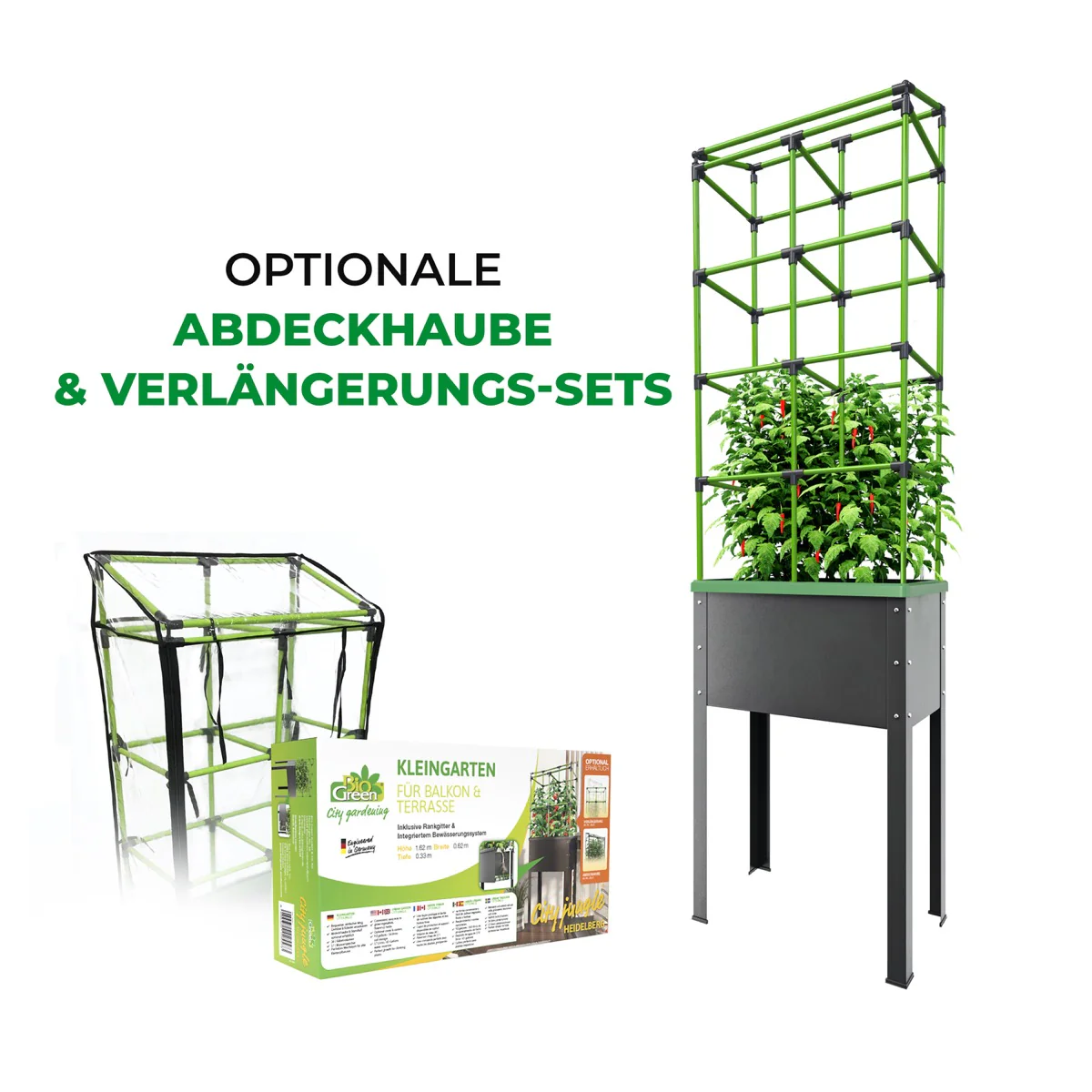 Vorschaubild 5