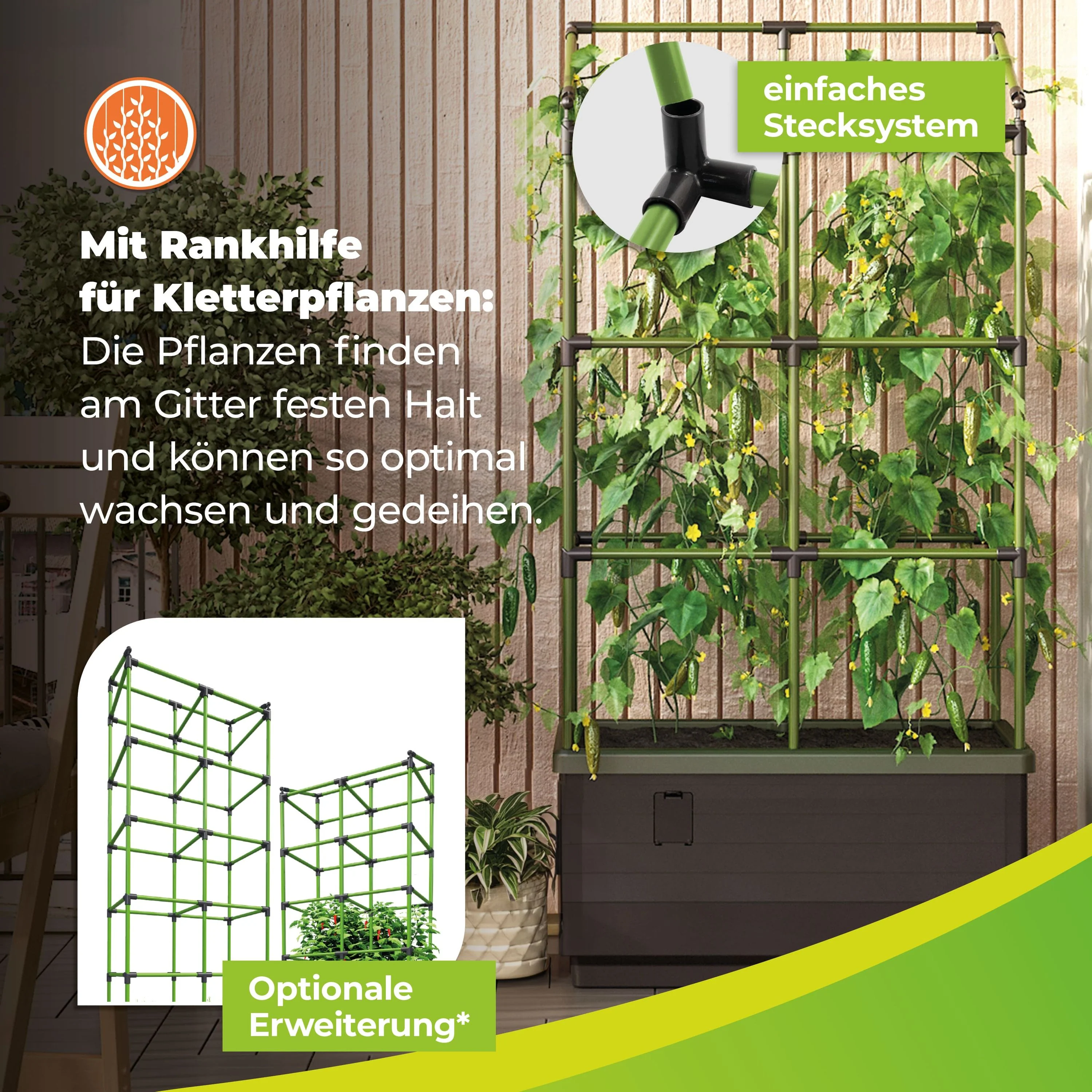 Vorschaubild 3