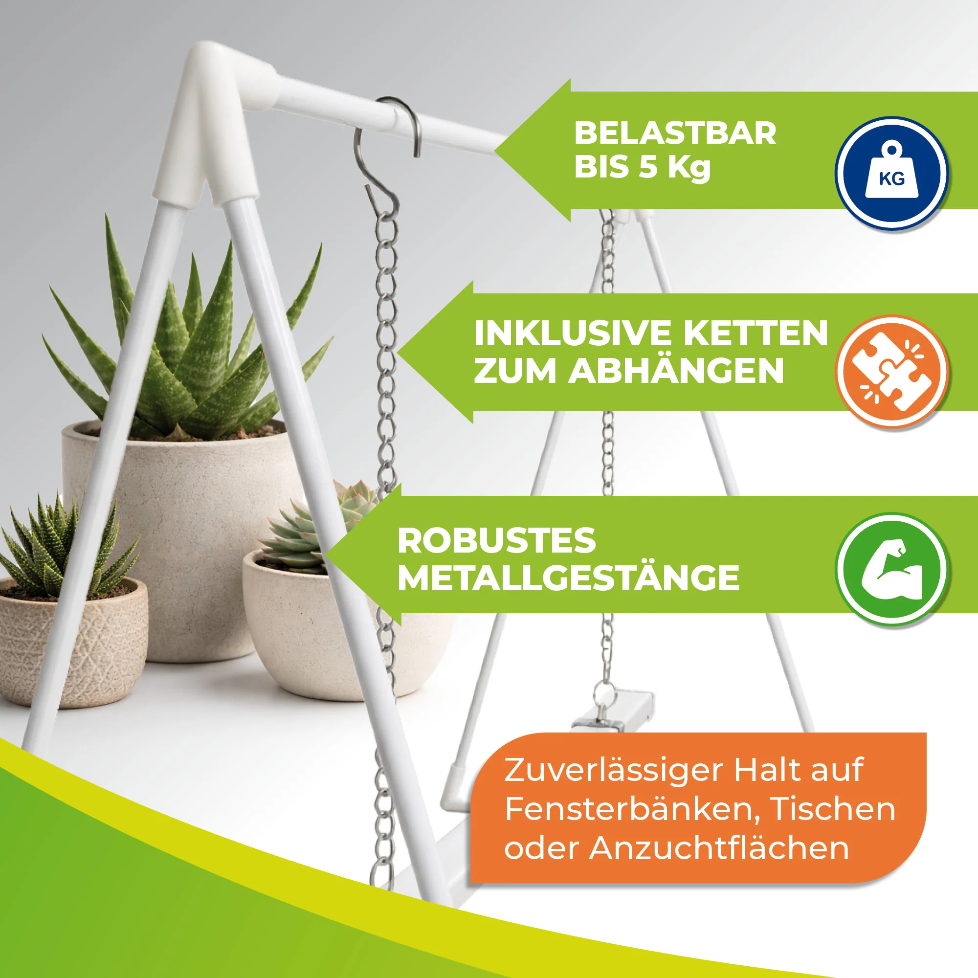 Vorschaubild 5