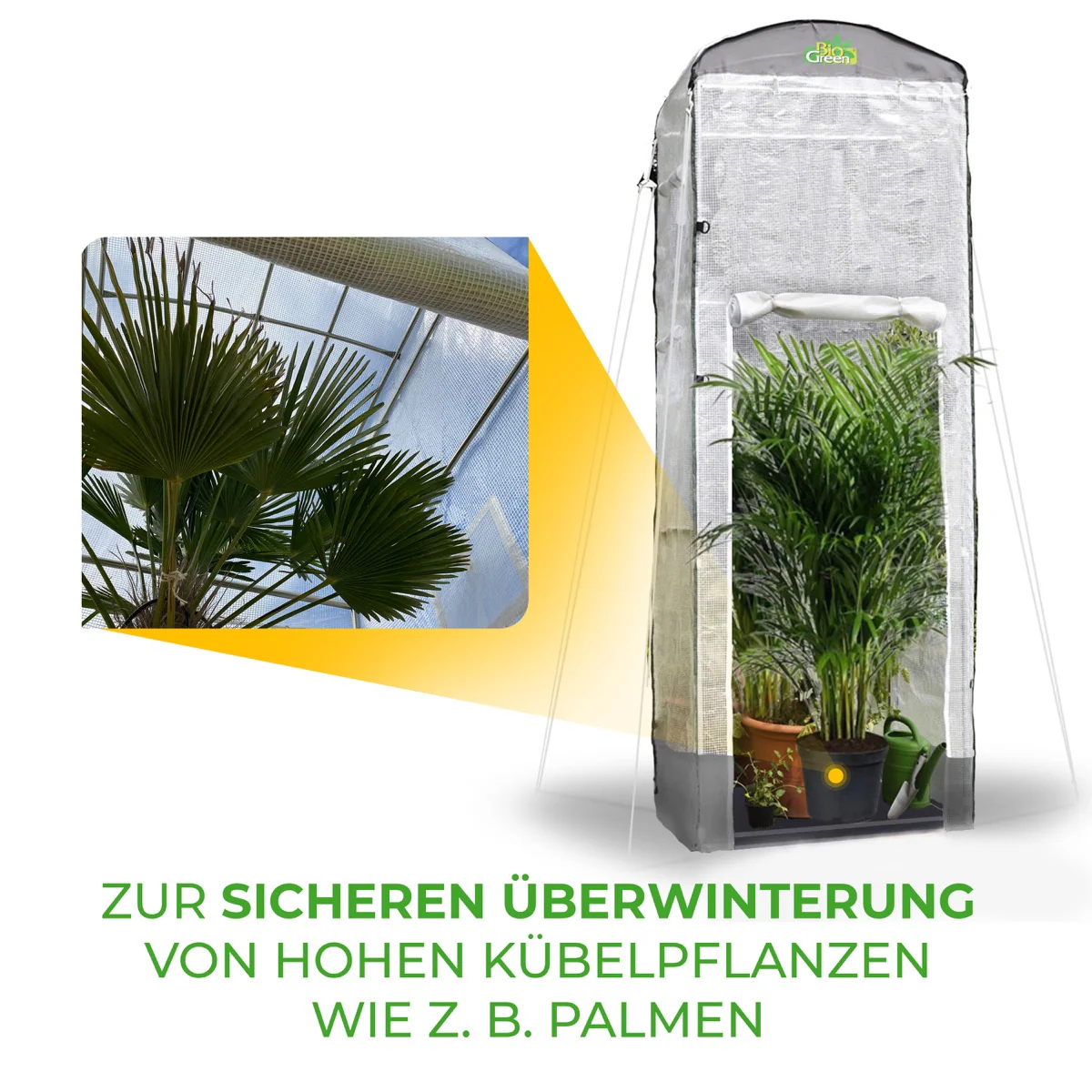Vorschaubild 9
