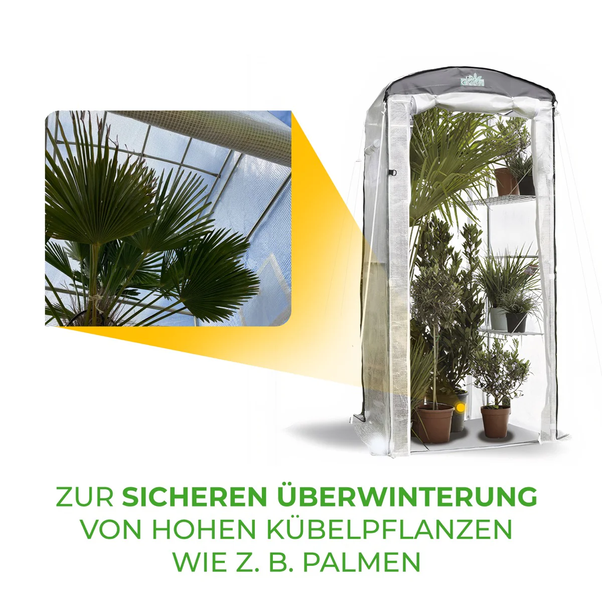 Vorschaubild 7