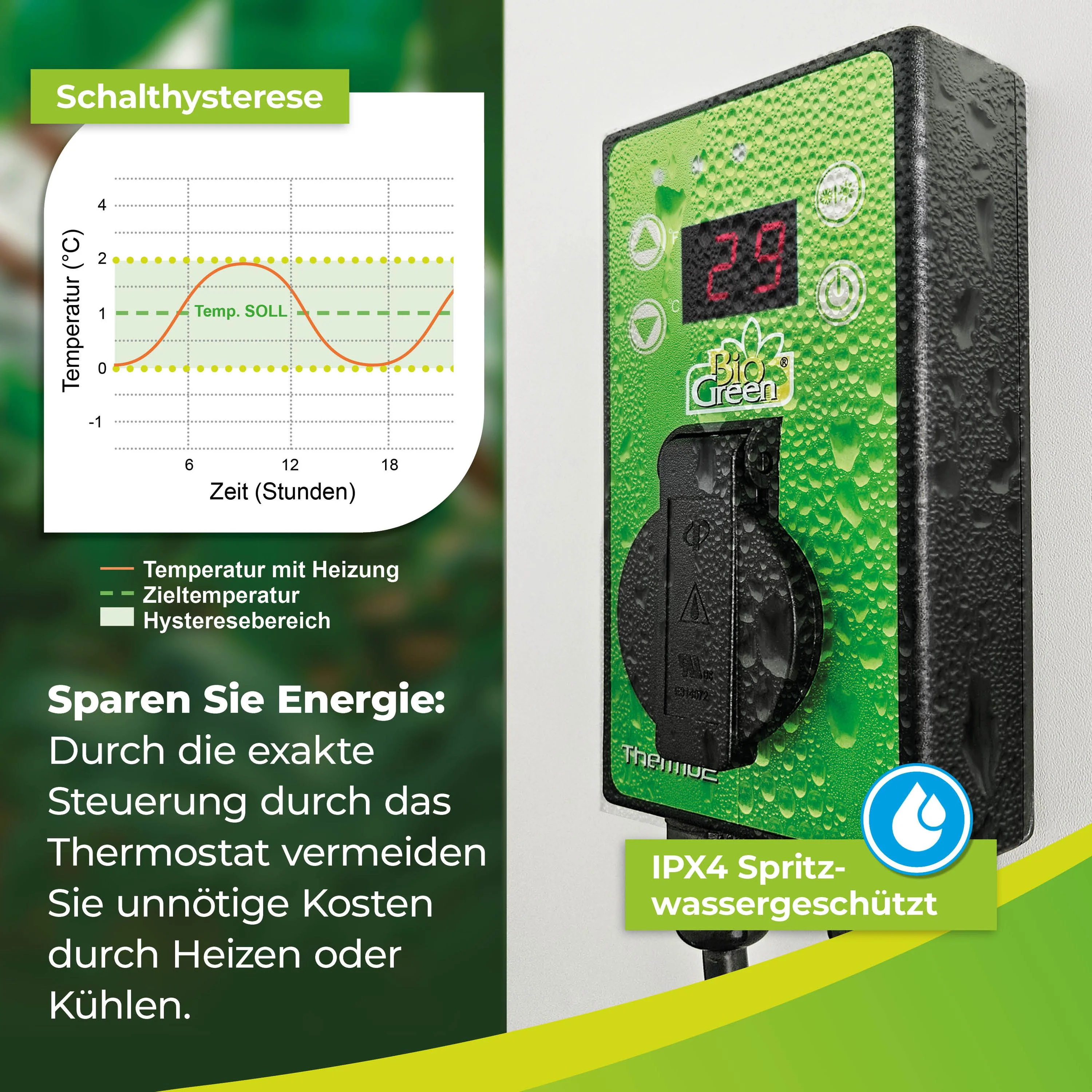 Vorschaubild 5