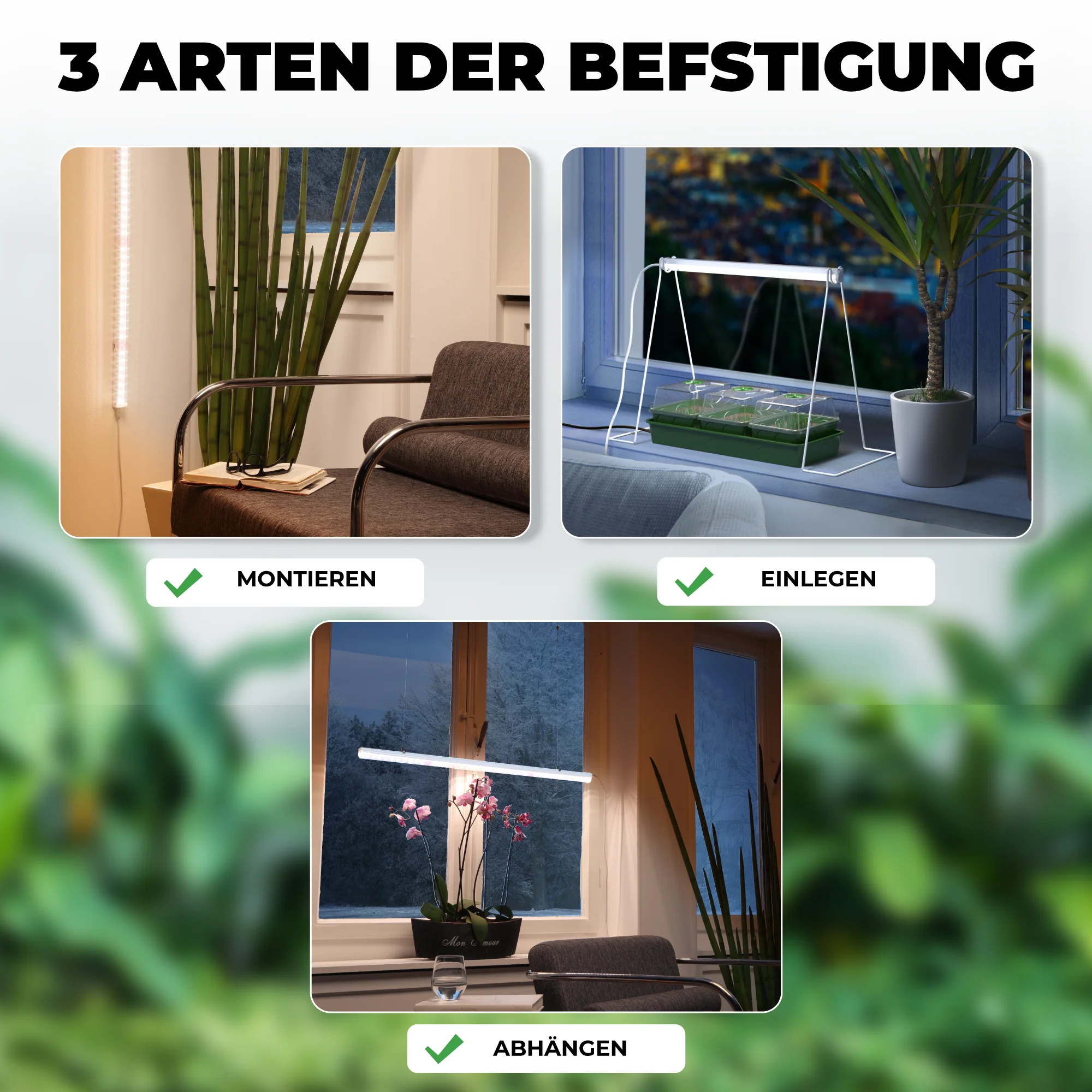Vorschaubild 8