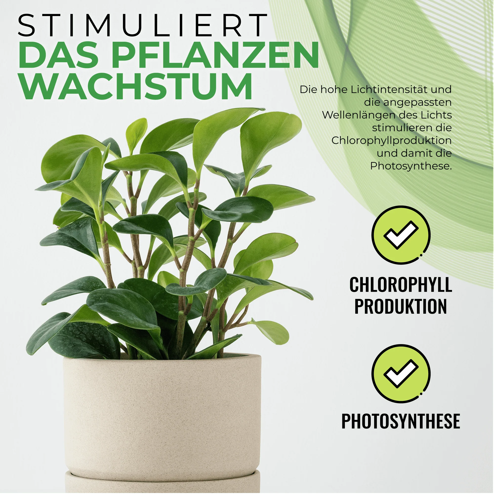 Vorschaubild 9