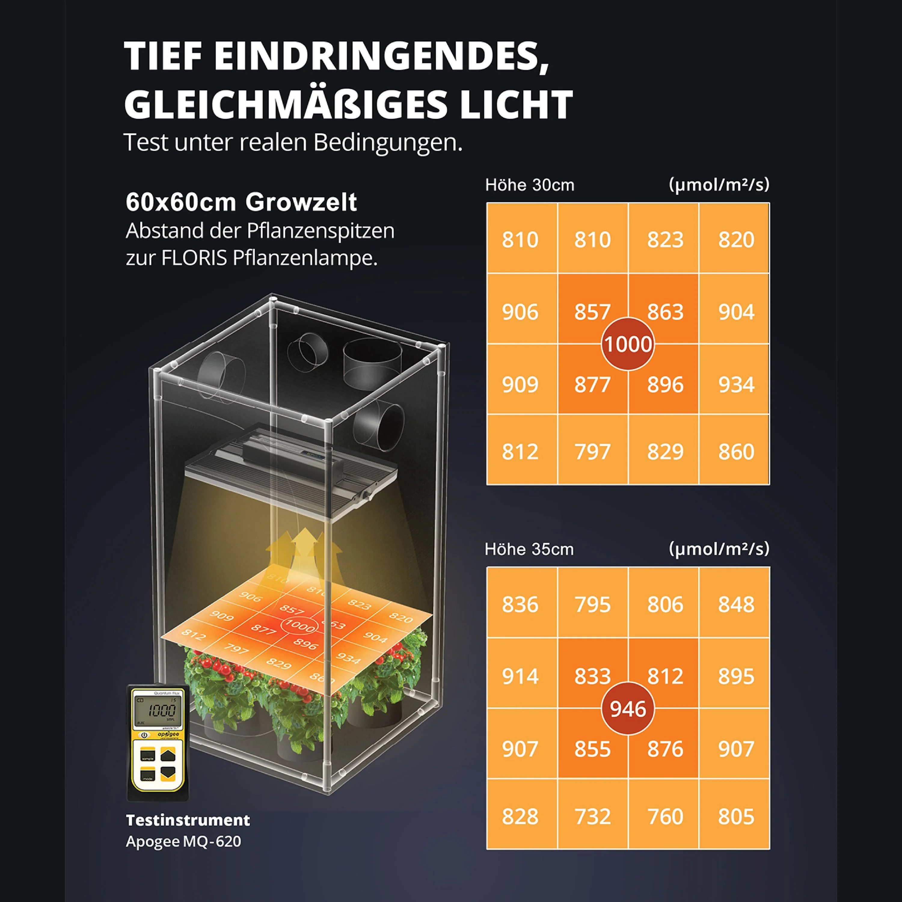 Vorschaubild 8