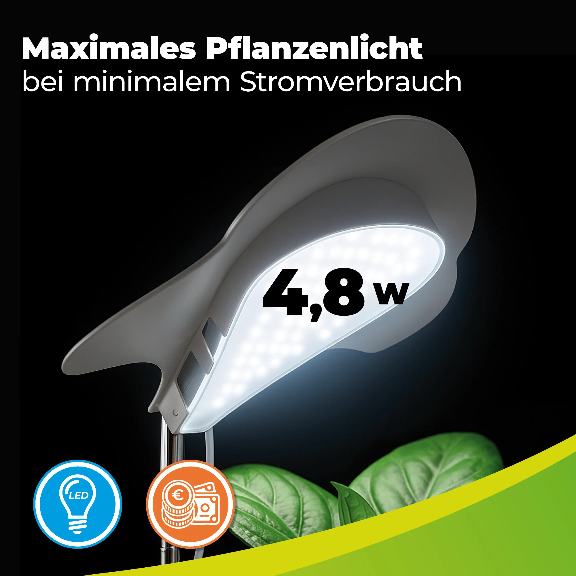 Vorschaubild 6