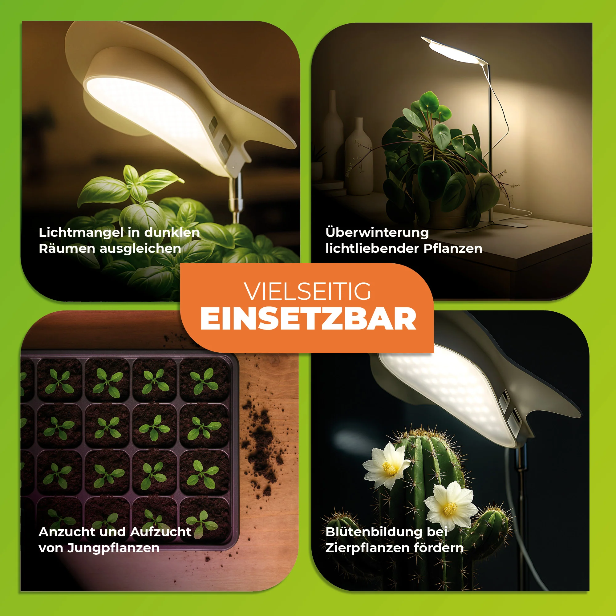 Vorschaubild 7