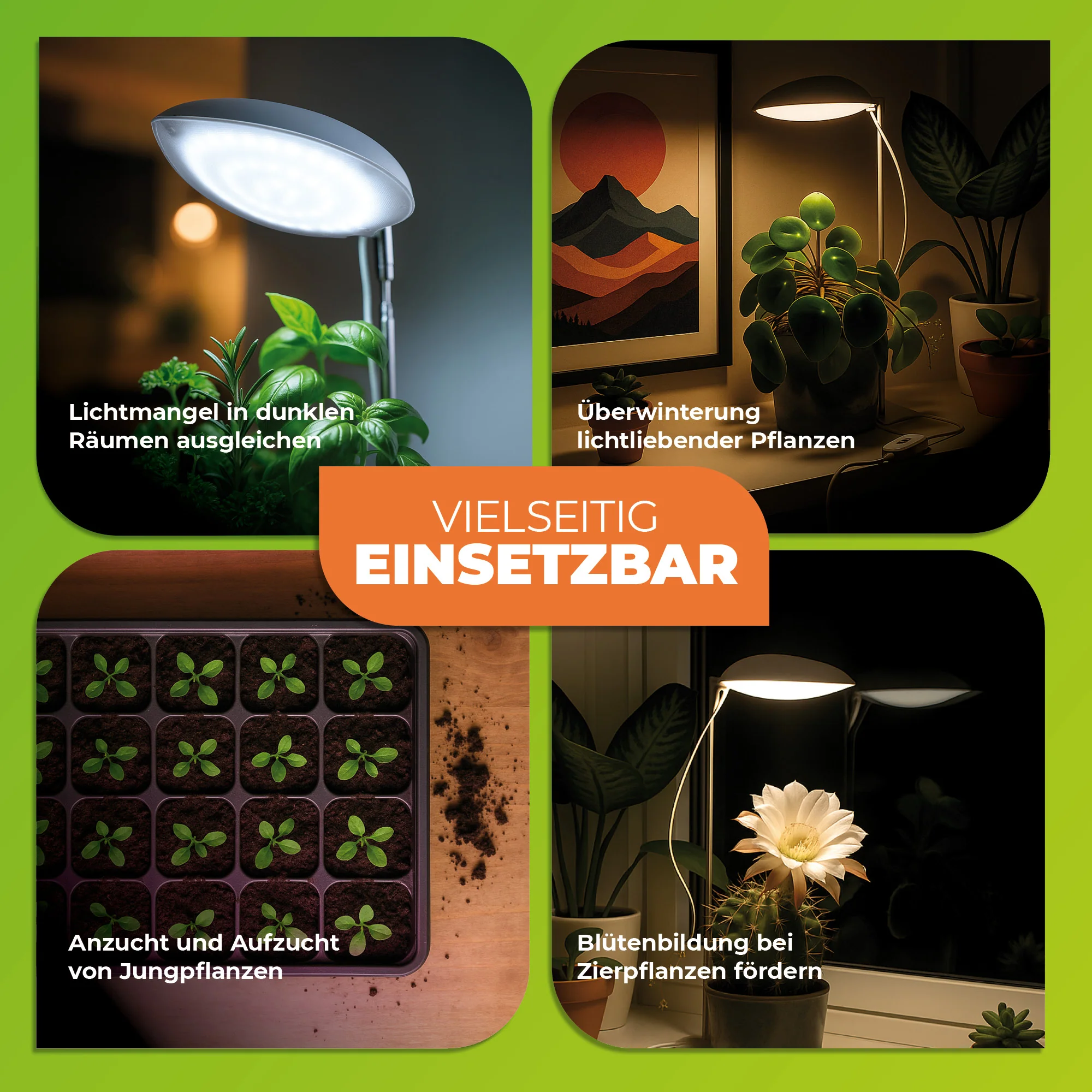 Vorschaubild 6