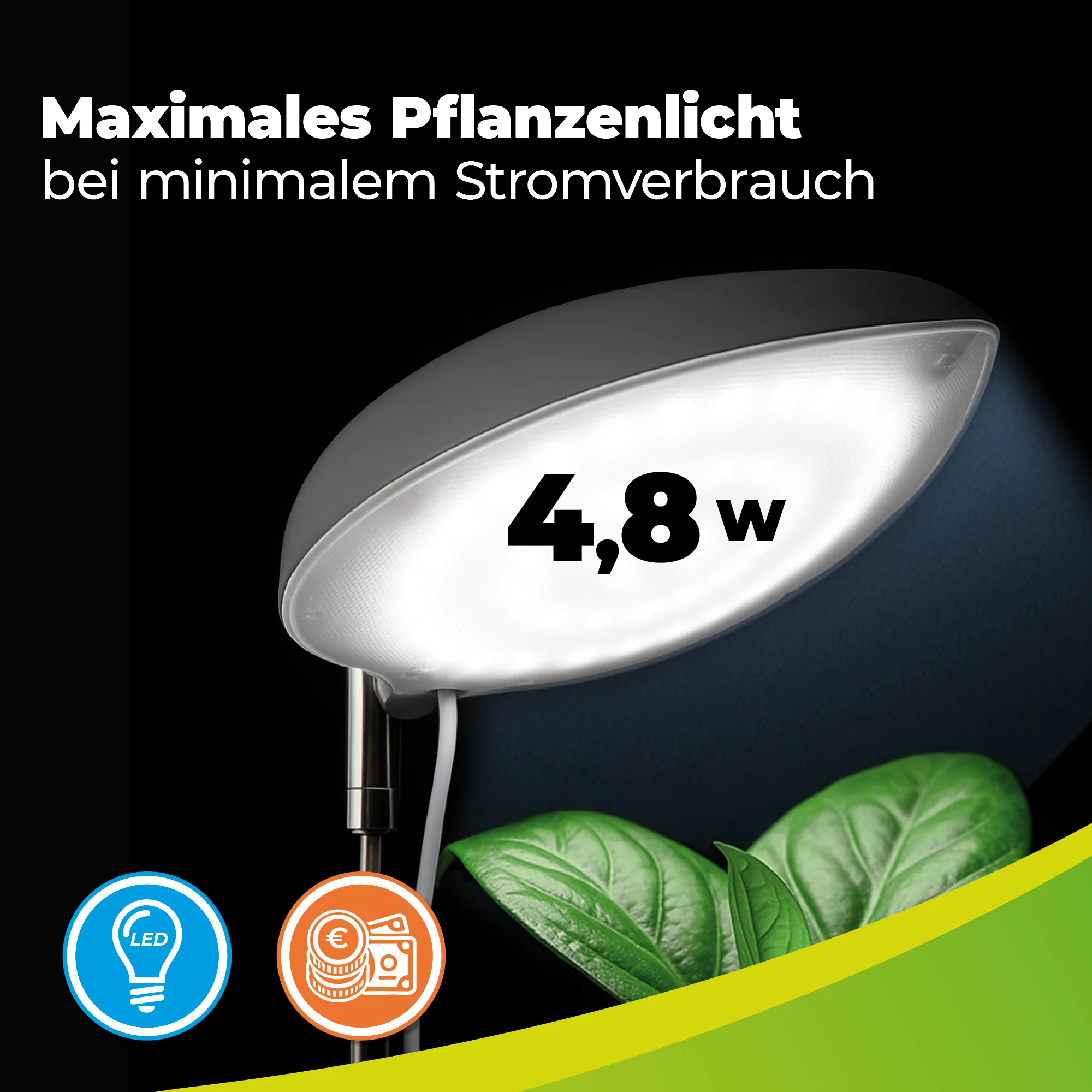 Vorschaubild 7
