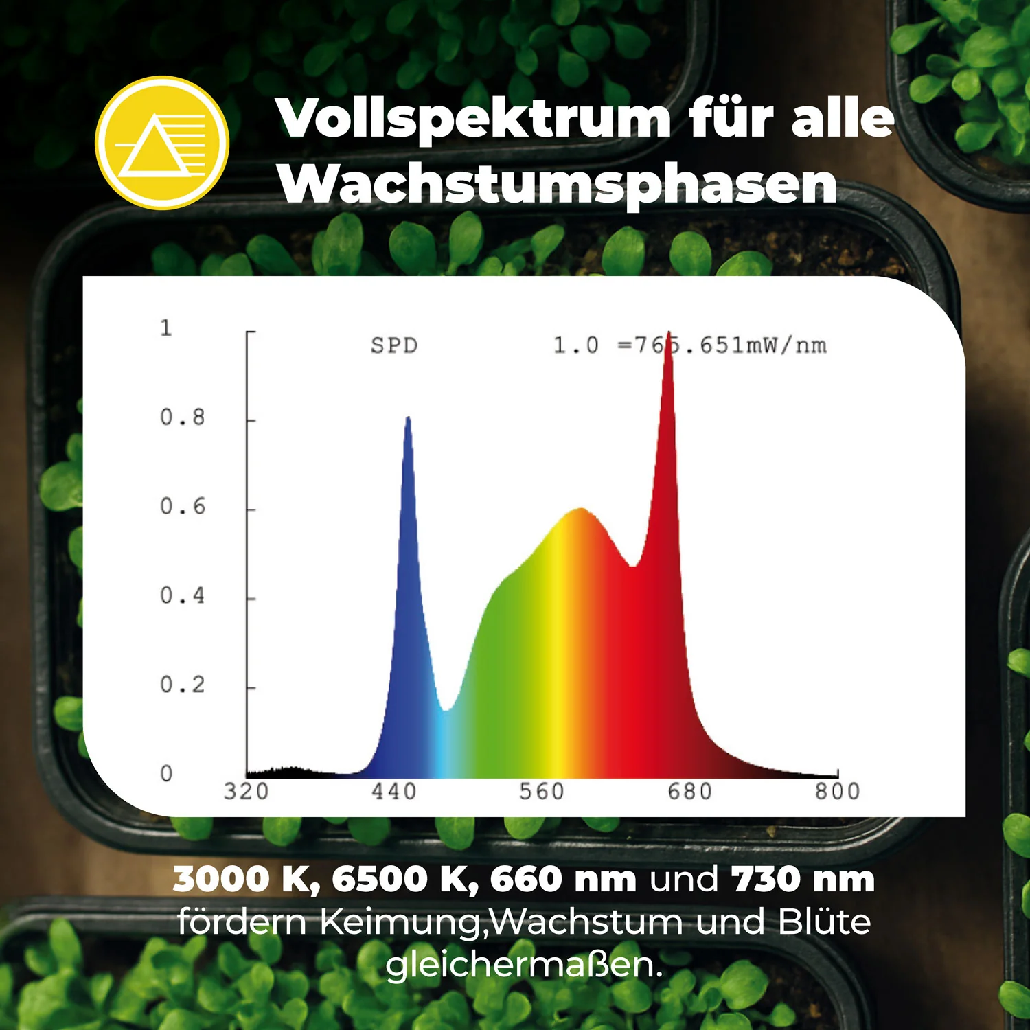 Vorschaubild 7