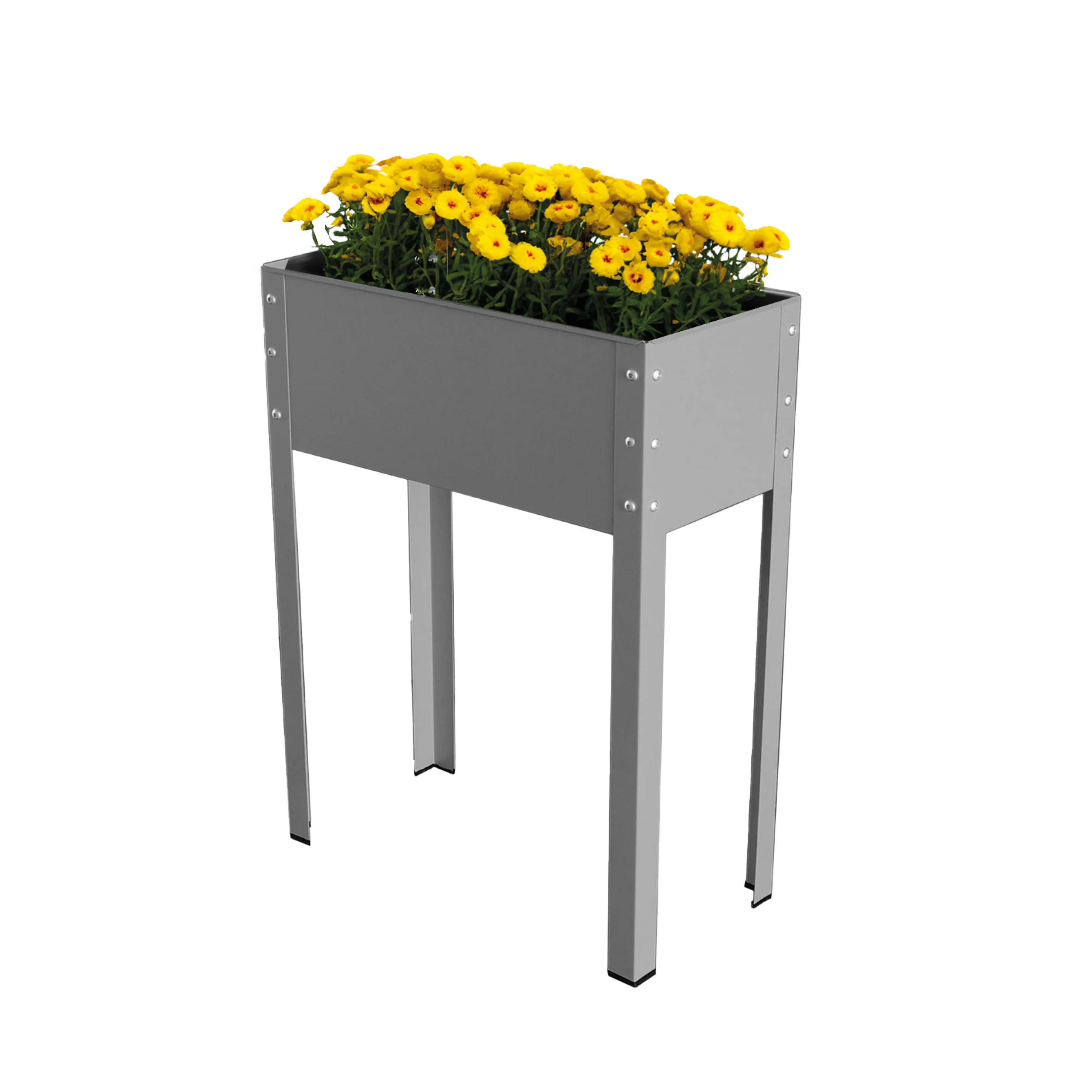 Vorschaubild 1
