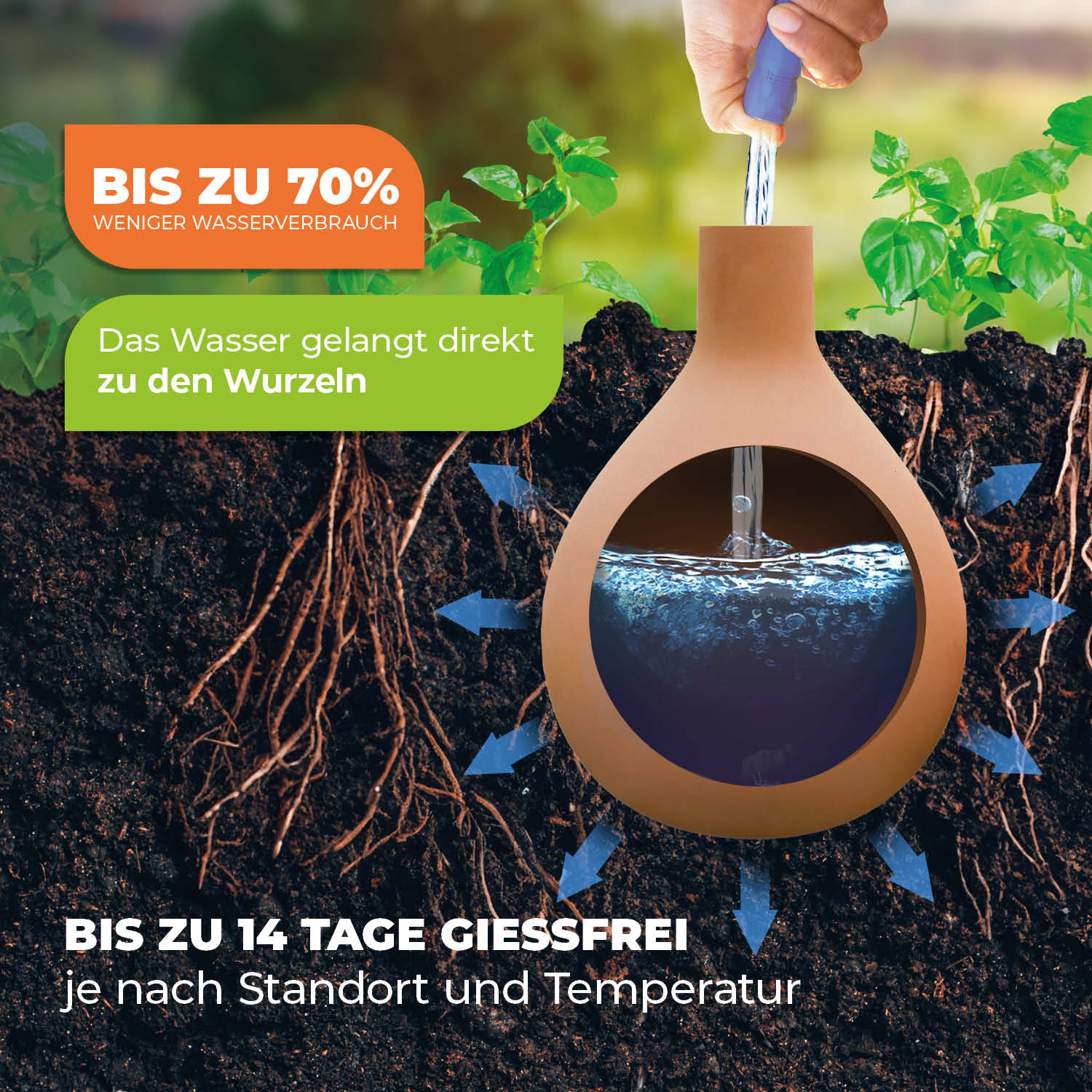 Vorschaubild 4