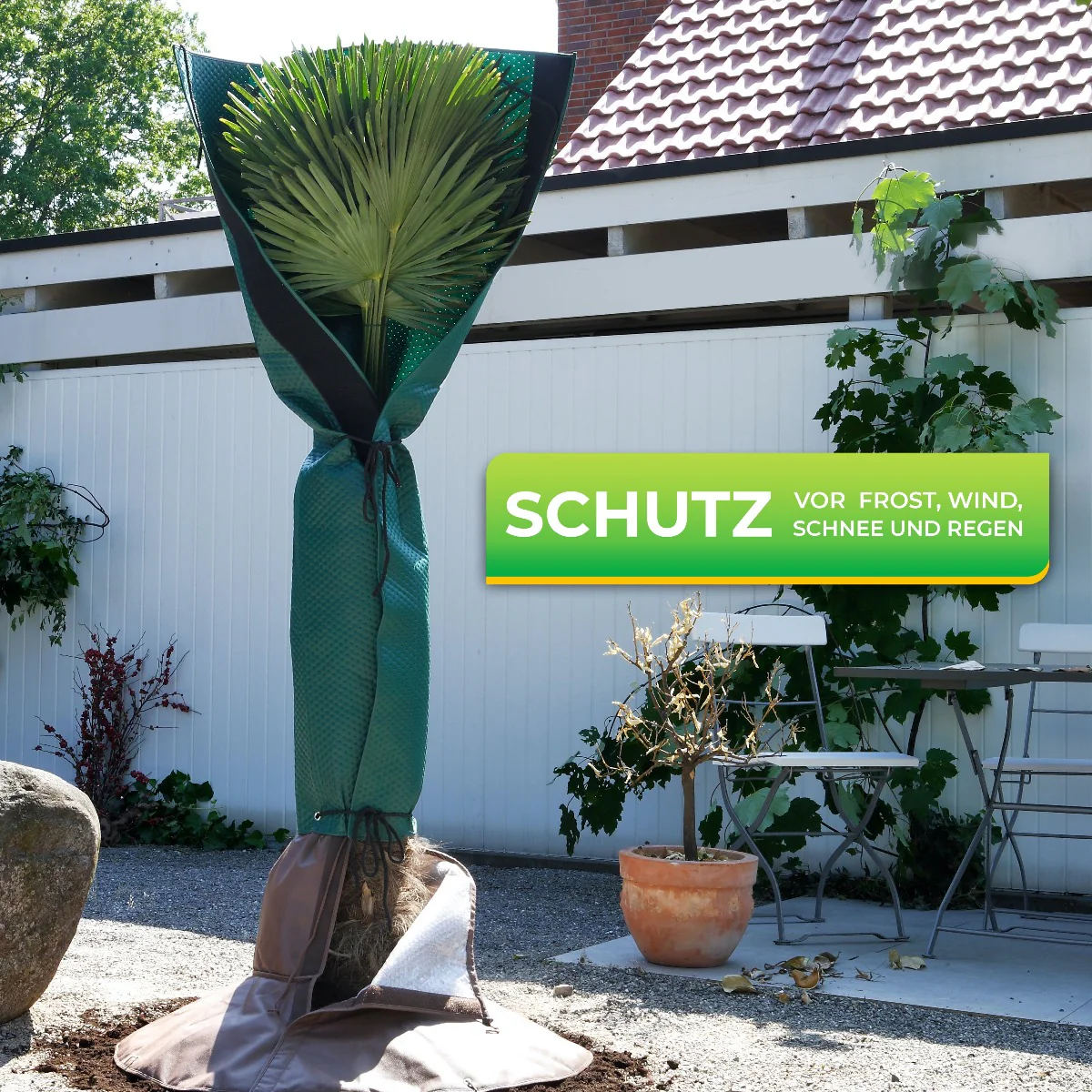 Vorschaubild 6