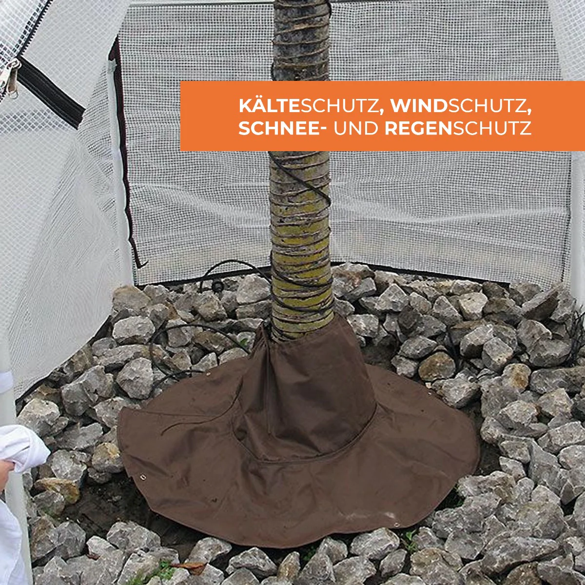 Vorschaubild 7