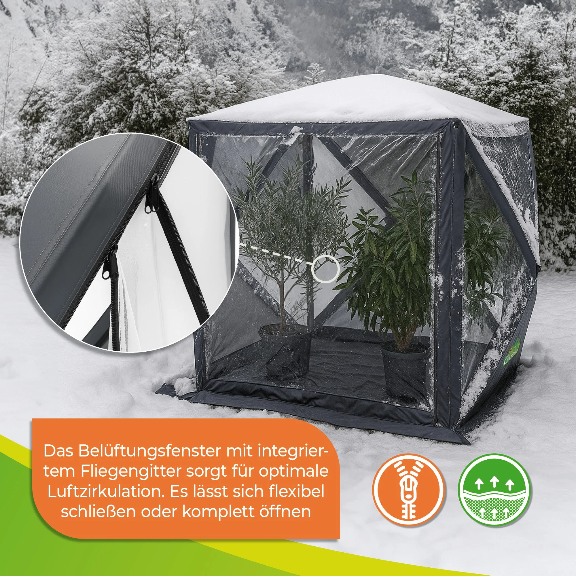 Vorschaubild 5