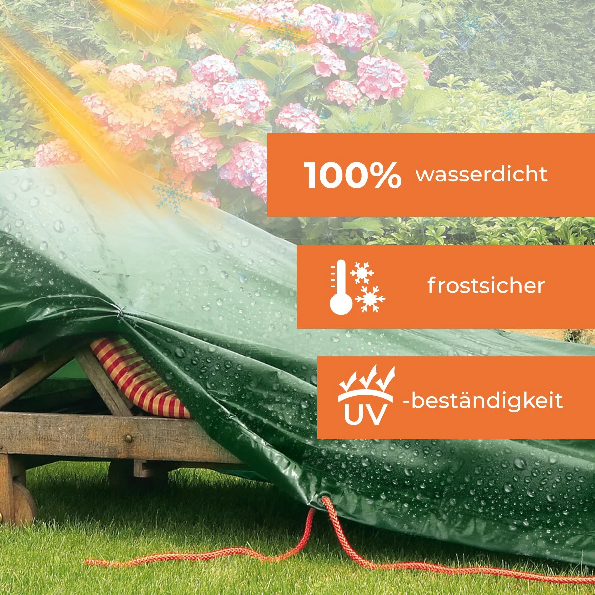 Vorschaubild 7