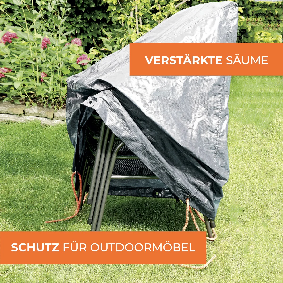 Vorschaubild 6