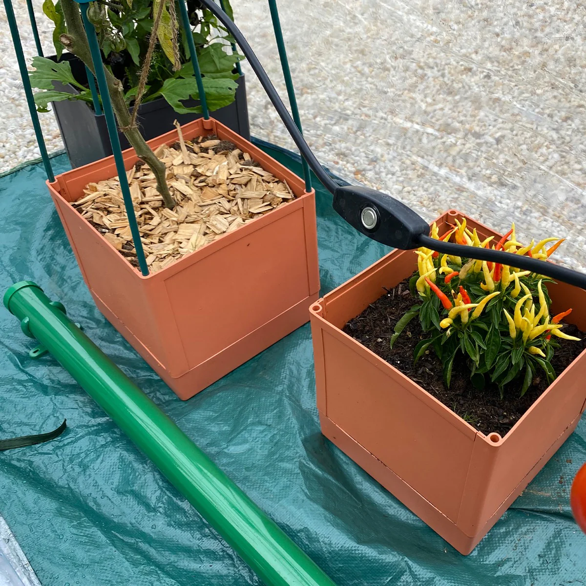Vorschaubild 2