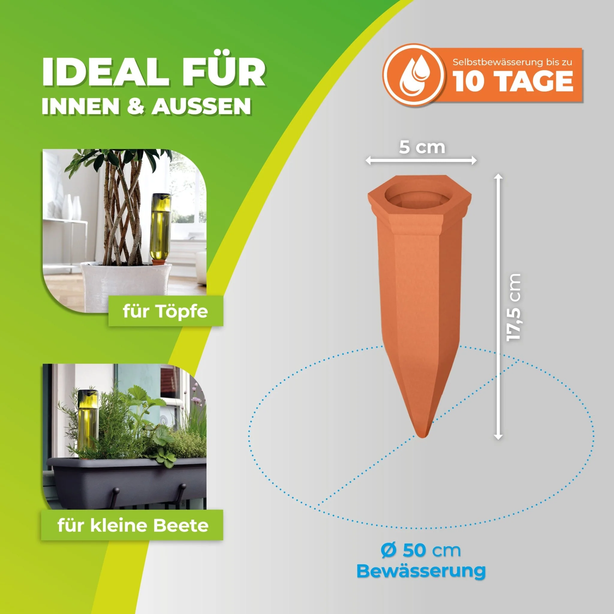 Vorschaubild 5