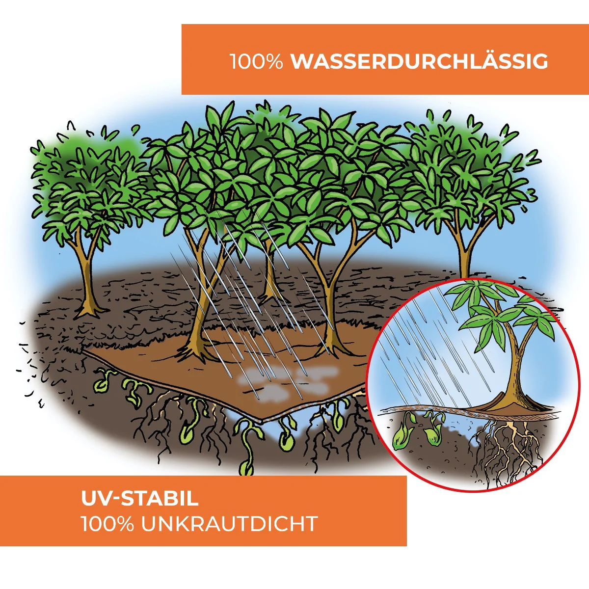 Vorschaubild 5