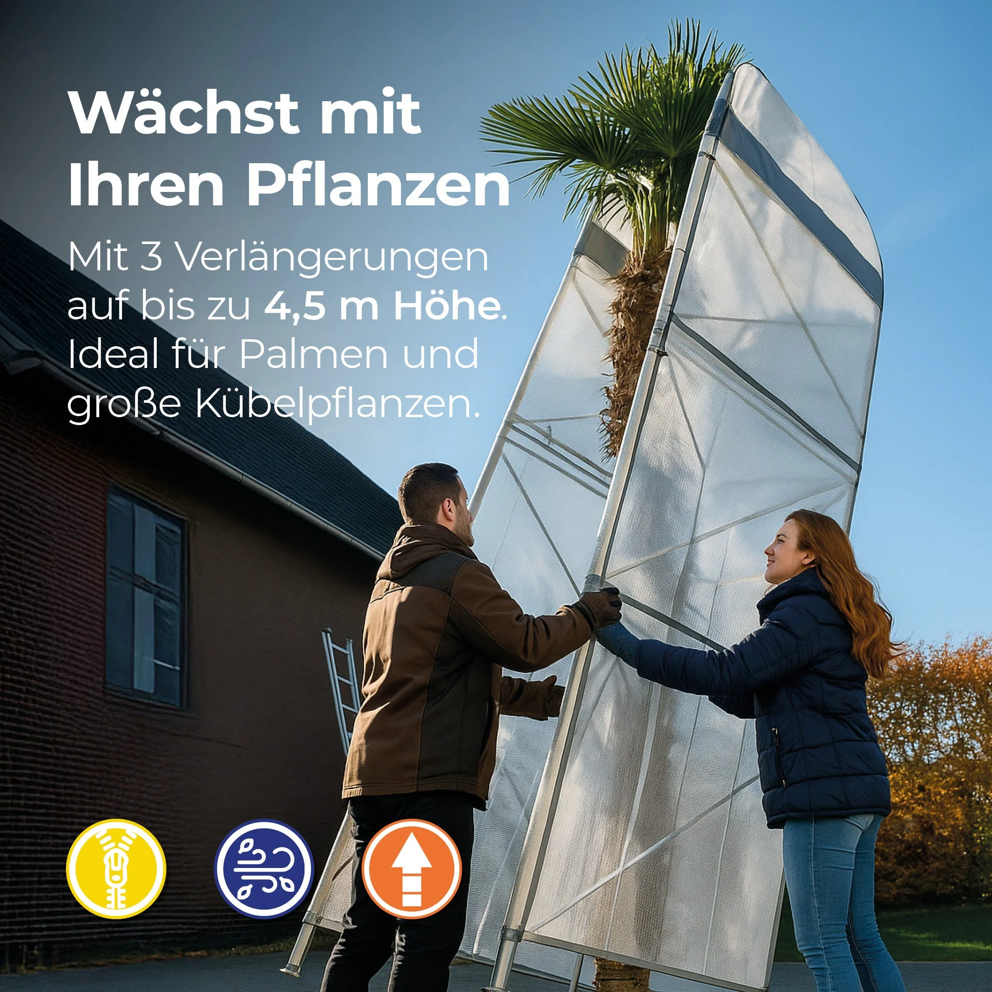 Vorschaubild 3